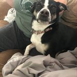 Kevin Hole - @phishy_one - Instagram