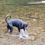 Kevin Holroyd - Facebook