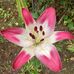 Kevin Holton - Facebook