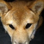 @kevinhoops - Instagram