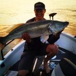 Kevin Hop - @kevin_hop_predatorfishing - Instagram