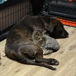 Kevin Hovis - @hovis2007 - Instagram