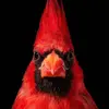 kevinhupeng - @kevinhupeng - TikTok