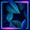 Kevin Husch - @kevinhusch5 - TikTok