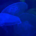 @kevinhuschak - Instagram