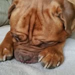 Kevin Ide - @ke.v51 - Instagram
