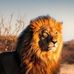 Kevin Isom - Facebook