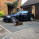 Kevin Ives - @kev.ives - Instagram