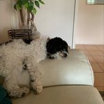 Kevin Ives - @solar_pops - Instagram
