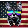 Kevin Jaynes - @kjaynes - TikTok