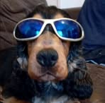 Kevin Jex - Facebook
