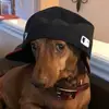 kevinjex - @kevinjex - TikTok