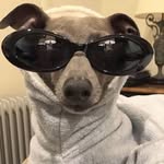 kevinjex - @kevin__jex - Instagram