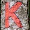 Kevin Jolicoeur375 - @kevinjolicoeur6669 - TikTok