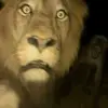 Kevin Jumper - @kevin.jumper2 - TikTok