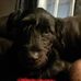 Kevin Kantz - Facebook