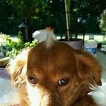 Kevin Kantz - @kantzkevin - Instagram