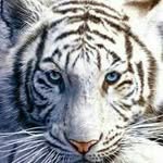 Kevin Karn - @kevin.karn - Instagram