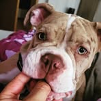 Kevin Garnatz - Facebook