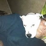 Kevin Kasner - @kevin.kasner.31 - Instagram