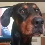 Kevin Keesee - @keeseekevin - Instagram