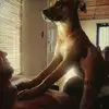 Kevin73 - @kevinkehler - TikTok