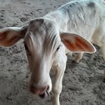 Kevin Kehler - @laur.i8018 - Instagram