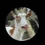 Kevin Kellermann - @ich_kaufe_nichts35 - Instagram