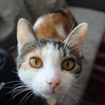 Kevin Kellermann - @usekevin2 - Instagram