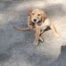 Kevin Kellum - Facebook