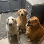 Kevin Kemp - @kevin.kemp.587 - Instagram