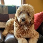 Kevin Kettner - @kevokettner - Instagram