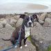 Kevin Kilpatrick - Facebook