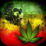 kevin kinney - @killkinney01 - Instagram