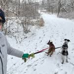Kevin Kirkpatrick - @kevinkirkpatrick - Instagram