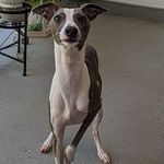 Kevin Matthew Kirschner - @kevin.kirschner.87 - Instagram