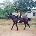 kevinkisnerdaniel - @kevinkisnerdaniel - Instagram