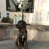 Kevin - @kevin.klar889 - TikTok