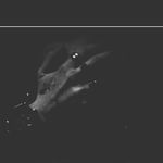 Kevin Klar - @email882 - Instagram