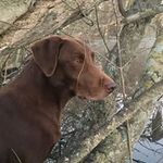 Kevin Klar - @klar.kevin - Instagram