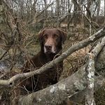 Kevin Klar - @kklar79 - Instagram