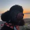 Kevin Kloida - @kevin.kloida - TikTok