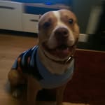 Kevin Kneller - @kevin_kneller - Instagram