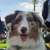 Kevin Knights - @kevin.knights8 - TikTok