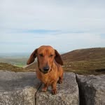 Kevin Knipe - @stringblend_1 - Instagram