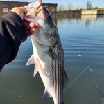 Kevin Knuckles - @kknuckles39 - Instagram