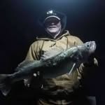 Kevin Knueppel - @knueppelkevin - Instagram