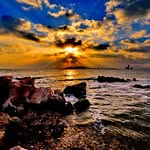 Kevin Kock - @kevin.kock.9081 - Instagram