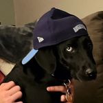 Kevin Kohn - @bhawksfan2 - Instagram