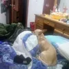 Kevin Sanchez - @kevinkrack40099 - TikTok